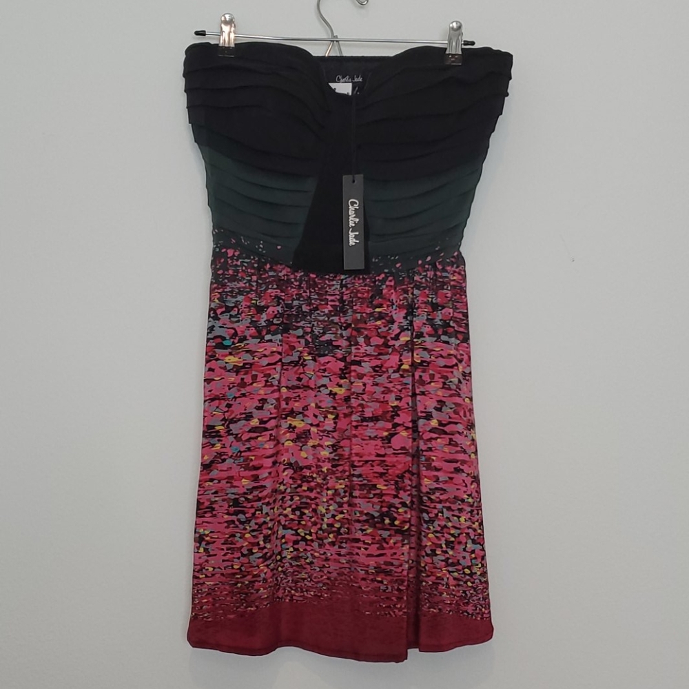 NWT Strapless Charlie Jade Dress -100& Silk